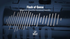 SCIC Flock of Geese Radio 60s